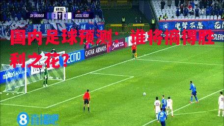星空体育官网入口-国内足球预测：谁将摘得胜利之花？