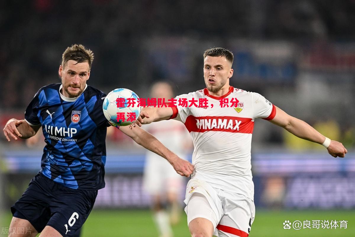 星空体育官网-霍芬海姆队主场大胜，积分再添